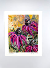 Load image into Gallery viewer, Coneflowers, print